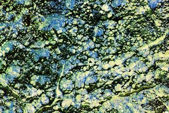 AP 75C1
